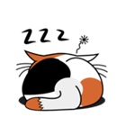 ねことんとん 三毛猫の日常会話01（個別スタンプ：36）