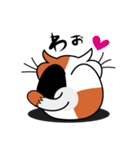 ねことんとん 三毛猫の気持ち01（個別スタンプ：7）