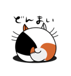 ねことんとん 三毛猫の気持ち01（個別スタンプ：21）