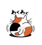ねことんとん 三毛猫の気持ち01（個別スタンプ：27）