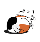 ねことんとん 三毛猫の気持ち01（個別スタンプ：35）