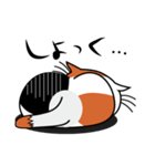 ねことんとん 三毛猫の気持ち01（個別スタンプ：36）
