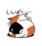 ねことんとん 三毛猫の気持ち01（個別スタンプ：39）