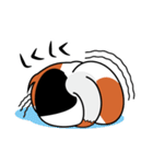 ねことんとん 三毛猫の気持ち01（個別スタンプ：40）
