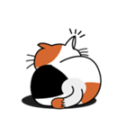 ねことんとん 三毛猫の身振り01（個別スタンプ：12）