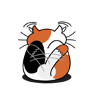 ねことんとん 三毛猫の身振り01（個別スタンプ：16）