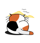 ねことんとん 三毛猫の身振り01（個別スタンプ：20）