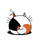 ねことんとん 三毛猫の身振り01（個別スタンプ：21）