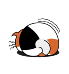 ねことんとん 三毛猫の身振り01（個別スタンプ：24）