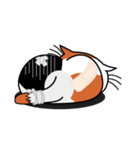 ねことんとん 三毛猫の身振り01（個別スタンプ：29）