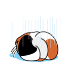 ねことんとん 三毛猫の身振り01（個別スタンプ：32）