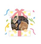 うさぎのモコパート2（個別スタンプ：7）