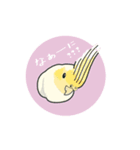 オカメインコれもんちゃん（個別スタンプ：1）
