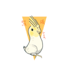 オカメインコれもんちゃん（個別スタンプ：3）
