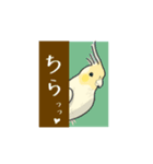 オカメインコれもんちゃん（個別スタンプ：5）