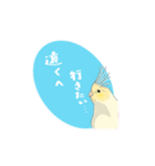 オカメインコれもんちゃん（個別スタンプ：6）