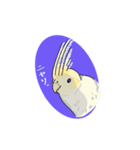 オカメインコれもんちゃん（個別スタンプ：7）