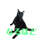 ごーちくもーちゃん2（個別スタンプ：2）