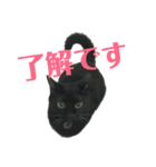 ごーちくもーちゃん2（個別スタンプ：7）
