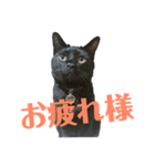 ごーちくもーちゃん2（個別スタンプ：8）