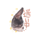 ラブちゃん3（個別スタンプ：7）