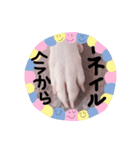 ラブちゃん3（個別スタンプ：8）