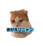 猫のちいさん3（個別スタンプ：6）