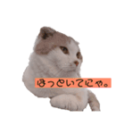 猫のちいさん3（個別スタンプ：8）
