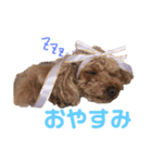 もあたんスタンプ（個別スタンプ：1）