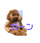 もあたんスタンプ（個別スタンプ：4）