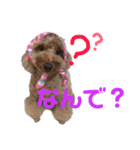 もあたんスタンプ（個別スタンプ：7）