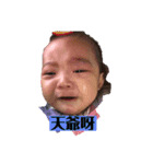わらない（個別スタンプ：3）