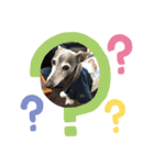 doggy the Gucchan（個別スタンプ：7）
