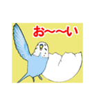 インコの動くスタンプ（個別スタンプ：3）