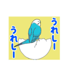 インコの動くスタンプ（個別スタンプ：5）