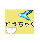 インコの動くスタンプ（個別スタンプ：7）