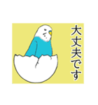 インコの動くスタンプ（個別スタンプ：11）