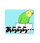 インコの動くスタンプ（個別スタンプ：16）