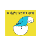 インコの動くスタンプ（個別スタンプ：19）