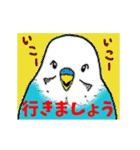 インコの動くスタンプ（個別スタンプ：21）