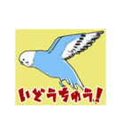 インコの動くスタンプ（個別スタンプ：24）