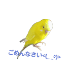 挨拶する動物（個別スタンプ：1）