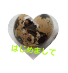 挨拶する動物（個別スタンプ：2）