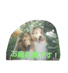 挨拶する動物（個別スタンプ：5）