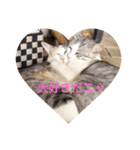 猫の生活 日本2（個別スタンプ：3）