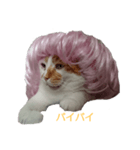 かわいい猫のあいさつ（個別スタンプ：2）
