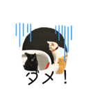 nero ＆ latte 使える猫スタンプ（個別スタンプ：7）