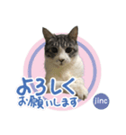 ジンク＆ミカン0026（個別スタンプ：1）