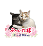 ジンク＆ミカン0026（個別スタンプ：3）