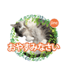 ジンク＆ミカン0026（個別スタンプ：4）